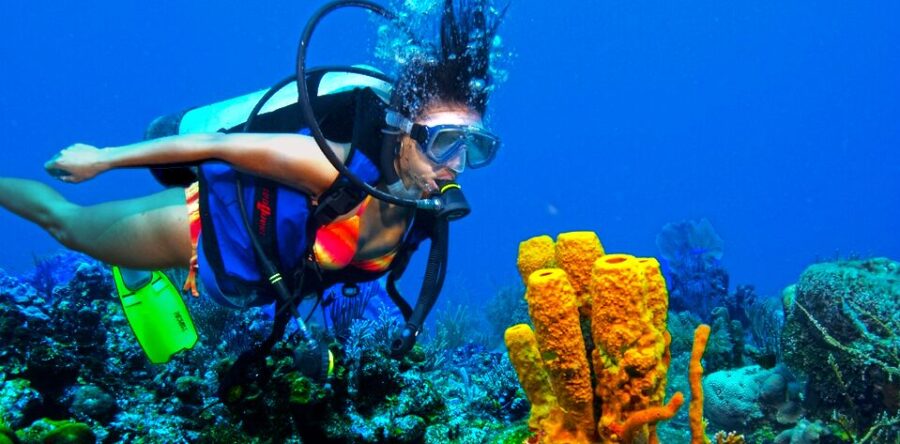Best Places to Explore on a Scuba Diving Trip in Cancun