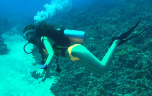 Manchones Diving 2