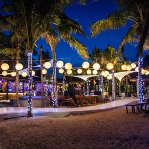 blue parrot beach club playa del carmen