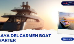 How to Make the Most of Your Playa Del Carmen Boat Charter