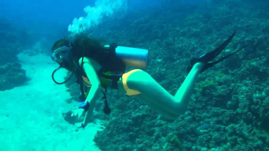 Scuba diving in Cancun reef
