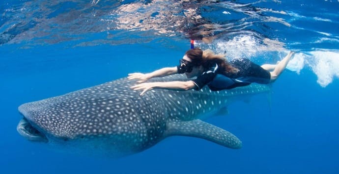 Best time of year to book Cancun boat charter